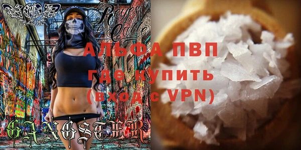 прущие грибы Новодвинск