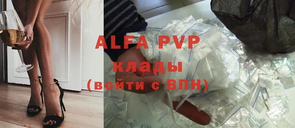 прущие грибы Новодвинск