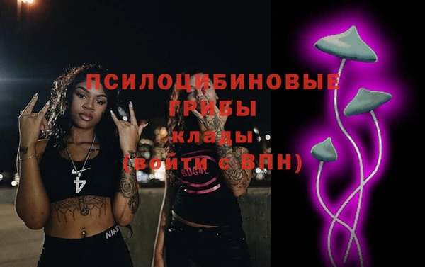 прущие грибы Новодвинск