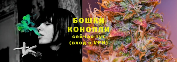 прущие грибы Новодвинск