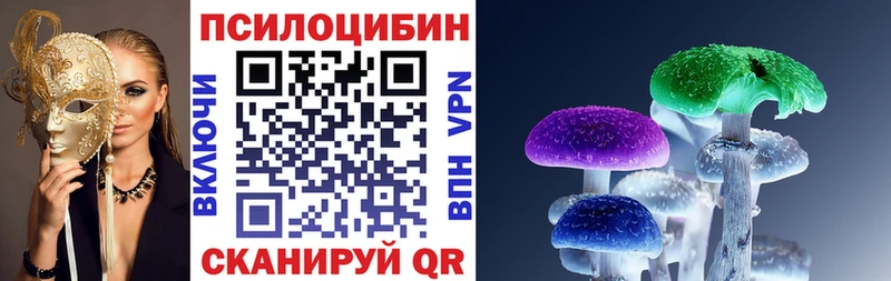 Галлюциногенные грибы GOLDEN TEACHER  shop как зайти  Прохладный 