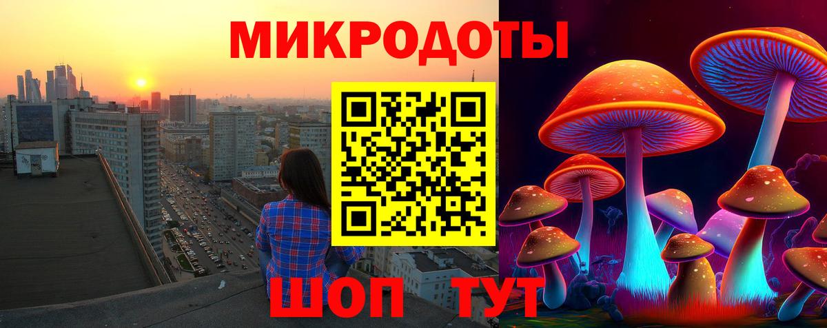 Псилоцибиновые грибы GOLDEN TEACHER Прохладный
