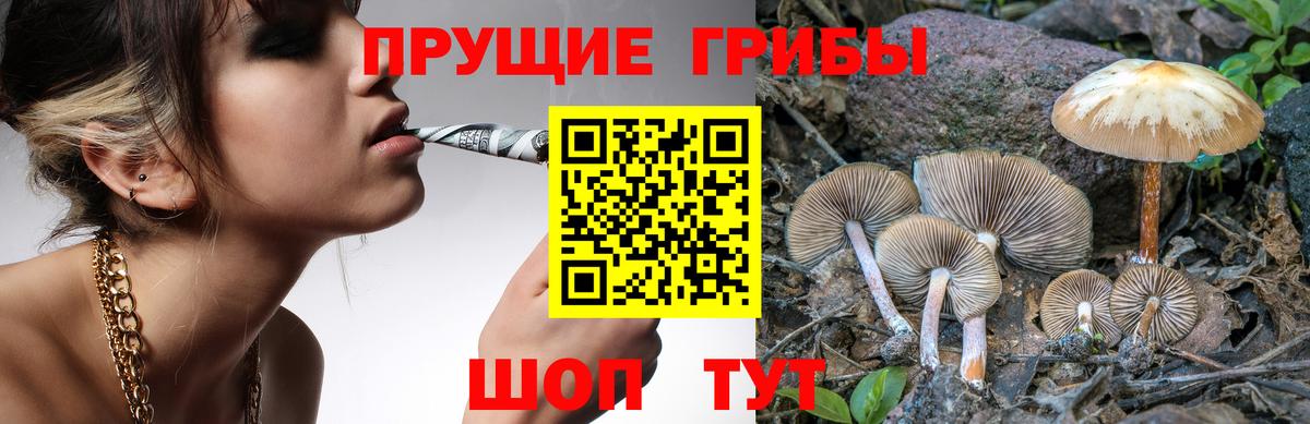 Кокаин  Вход с VPN  Марки  Кодеин  A PVP  Прохладный  Плюхи  Molly  Мяу-Мяу  Бошки Шишки 