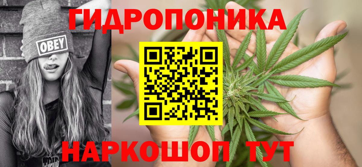 Бошки марихуана THC 21% Прохладный